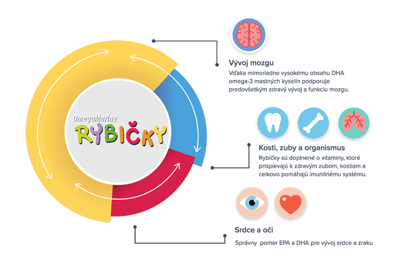 Graf znázorňující benefity užívaní OmegaMarine rybiček, efekty například jako Vývoj mozku, nebo celkové zlepšení imunitního systému, také zlepšení vývoje očí a srdce