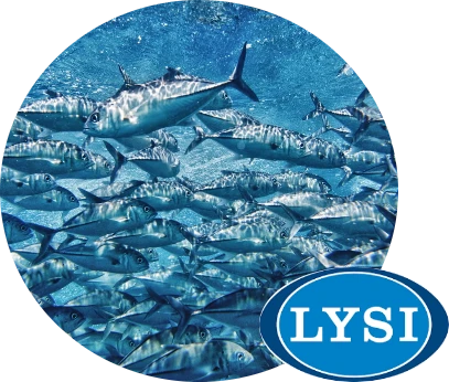 Logo spoločnosti LYSI